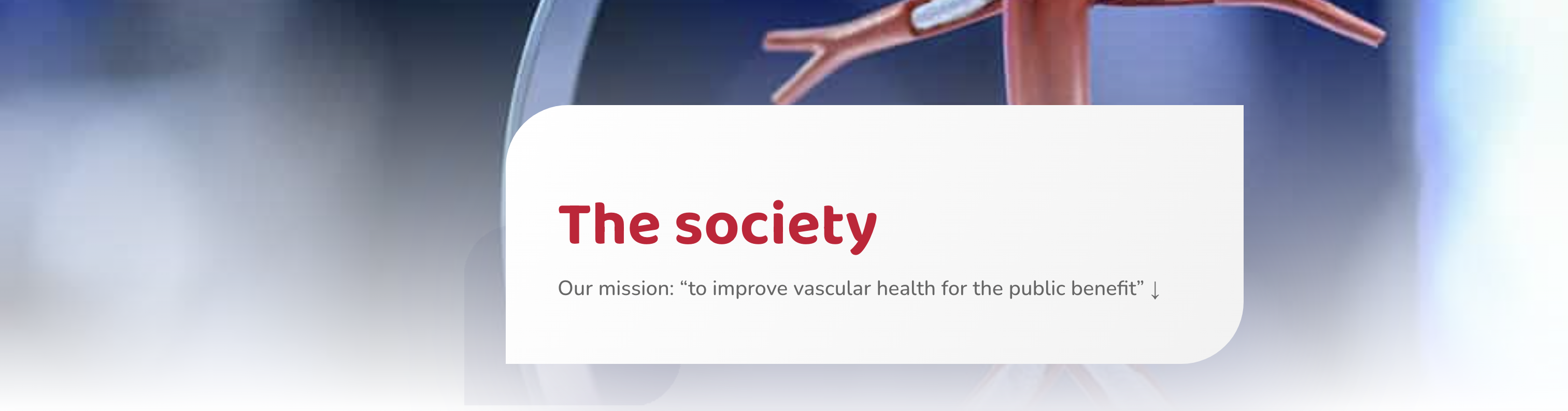 Skjermbilde 2023-12-06 kl. 18.53.05